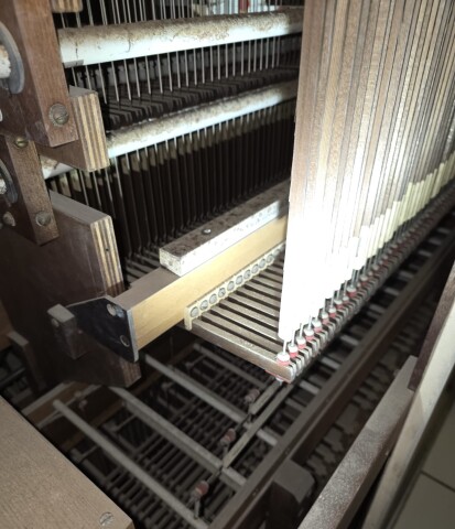 Orgel snaren